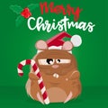 Funny cartoon illustration of a stoned looking crazy hamster wishing a merry christmas