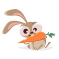 Funny cartoon illustration of a crazy rabbit eating a big carrot Royalty Free Stock Photo