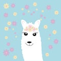 Cute llama with flowers. Card template, vector illustration