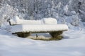 Park bench with a thick snow cap. Royalty Free Stock Photo