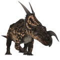 Einiosaurus on White Royalty Free Stock Photo