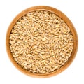 Einkorn wheat in wooden bowl over white