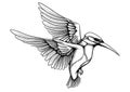 Illustration of a flying common kingfisher