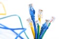 Eithernet Cables Royalty Free Stock Photo