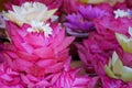 Ekibana from petals of pink lotus. magenta flower composition. Royalty Free Stock Photo