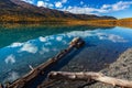 Eklutna Lake Driftwood Royalty Free Stock Photo