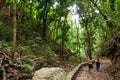 El Avila Waraira Repano National Park mountain path Sabas Nieves