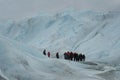 A group of crampons wearing tourists trekking on Perito Moreno Glacier in the Los Glaciares National Park