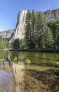 El Cap on the Merced - Yosemtie National Park, California Royalty Free Stock Photo