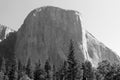 El Capitan in black and white Royalty Free Stock Photo