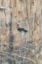 El Capitan close-up; Yosemite National Park Royalty Free Stock Photo