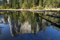 El Capitan reflected in the Merced River, Yosemite National Park, California, USA Royalty Free Stock Photo