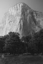 El Capitan seen from Yosemite valley floor. Vertical black and white photo Royalty Free Stock Photo