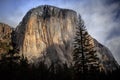 El Capitan Winter Morning, Yosemite National Park, California