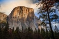 El Capitan Winter Morning, Yosemite National Park, California