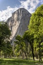 El Capitan. Yosemite National Park, California USA Royalty Free Stock Photo
