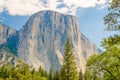 El Capitan, Yosemite National Park, California Royalty Free Stock Photo