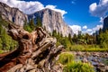 El Capitan, Yosemite national park Royalty Free Stock Photo