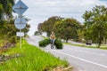  Man carrying green fodder on his bicycle on the road