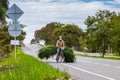 Man carrying green fodder on his bicycle on the road to El Cerrito in the Valle del Cauca region in Colombia