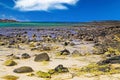 El Cotillo, North Fuerteventura: Many countless stones in water scattered in sand at rocky beach during ebb, turquoise sea lagoon Royalty Free Stock Photo