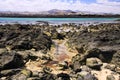 El Cotillo, North Fuerteventura: View over bright scattered stoneson beach in shallow water on turquoise lagoon of beach La Concha