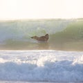 Body surfer riding a perfect wave.