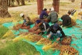 Farmers sort collected dates at the plantation in El Goula, Tunisia.