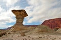 El Hongo Nature reserve Ischigualasto