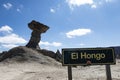 El Hongo - Parque Provincial Ischigualasto moon valley argentina