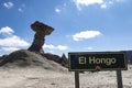 El Hongo - Parque Provincial Ischigualasto moon valley jurasin park argentna