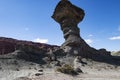 El Hongo - Parque Provincial Ischigualasto mon valley jurasic park argentina