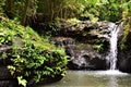 El Kabayo Waterfalls Subic Bay Philippines Royalty Free Stock Photo