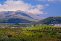 El Qiniyye and Mount Hermon the north of Israel Royalty Free Stock Photo