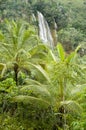 El limon waterfall, Samana peninsula Royalty Free Stock Photo