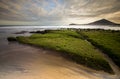 El Medano beach Tenerife