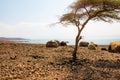 El Molo village at the shores of Lake Turkana in Loiyangalani District, Kenya