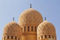 El-Mursi Abul-Abbas Mosque Royalty Free Stock Photo