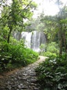 El Nicho waterfall