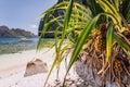 El Nido, Palawan, Philippines. Tropical sandy paradise beach with exotic foliage plants. Blue lagoon surrounds by karst limestone Royalty Free Stock Photo