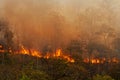 El Nino weather phenomenon cause drought and increase wildfire in southeast asia