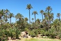 El Palmeral park, Alicante, Spain