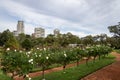 El Rosedal Rose Park at Bosques de Palermo - Buenos Aires, Argentina Royalty Free Stock Photo