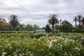 El Rosedal Rose Park at Bosques de Palermo - Buenos Aires, Argentina