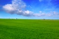 El Saler in Valencia rice fields green meadow Royalty Free Stock Photo