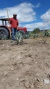 El seÃÂ±or del maguey