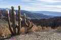 El Sillar pass near Tupiza, landscape around Quebrada de Palala Valley with eroded spiky rock formations - Bolivia Royalty Free Stock Photo