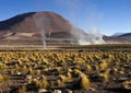 El Tatio Geysers - Atacama Desert - Chile Royalty Free Stock Photo