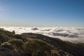 El Teide National Park - Above the Clouds