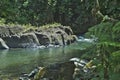 El Yunque creeks, Puerto Rico. Royalty Free Stock Photo